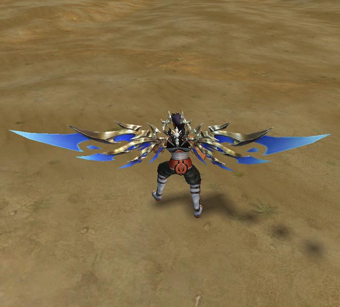 Small Image